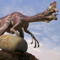 Oviraptor - Dinosaur