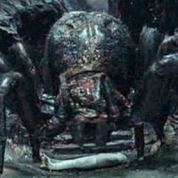 Shelob