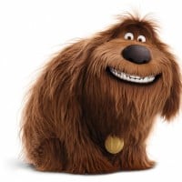 Duke (The Secret Life of Pets)