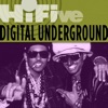 2Pac's verse on Same Song (Digital Underground)