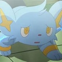 Shinx