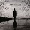 Into the Woods - Insomnium