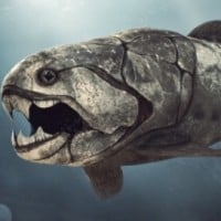 Dunkleosteus