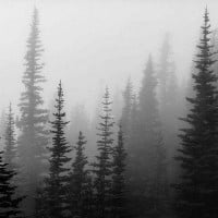 Atmospheric Black Metal