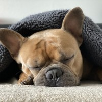 You've been at school all day, home should be a place where you get to take a