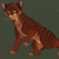 Rowanstar (ShadowClan)