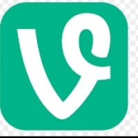 Vine
