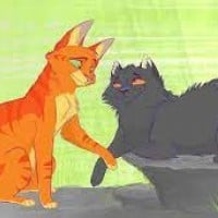 Yellowfang x Firestar