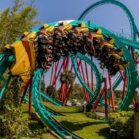 Kumba - Busch Gardens Tampa, USA