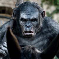 Koba (Planet of the Apes)