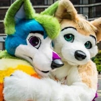 Furries