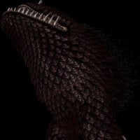 The Imprisoned (Skyward Sword)