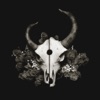 Not Ready to Die - Demon Hunter