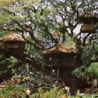 Swiss Family Treehouse