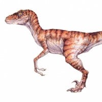 Deinonychus