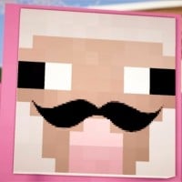 The Minecraft YouTubers