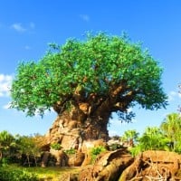 Tree of Life (Disney's Animal Kingdom)