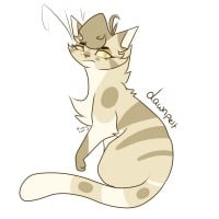 Dawnpelt - Wrongly accused Jayfeather of killing Flametail and made him cease