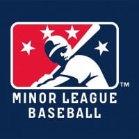 Give More Attention to Minor League Players