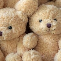 Sleep With a Teddy Bear