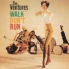 Sleep Walk (The Ventures)