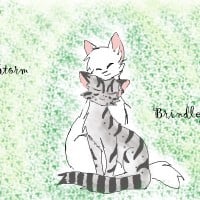 Whitestorm x Brindleface