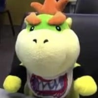 She wasn't defeated by someone smaller than her (Bowser Jr.)