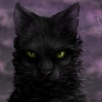 Hollyleaf: telling the secret at the gathering