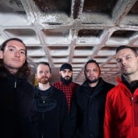 If These Trees Could Talk