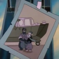 The Old Man and the Sea Duck