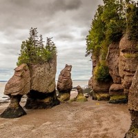 Hopewell Rocks
