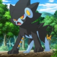 Luxray, Electric, should have been Electric/Dark