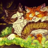 Leafstar x Billystorm