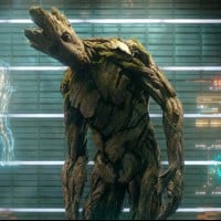 Groot