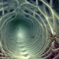 Cobwebs are portals into another dimension and spiders are the gatekeepers