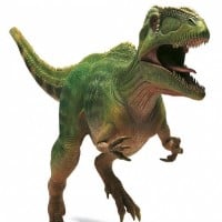 Tyrannotitan Chubutensis