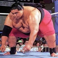 Yokozuna