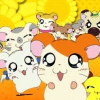 Hamtaro