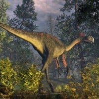 Gigantoraptor
