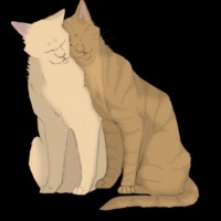 Berrynose x Honeyfern