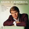 Rhinestone Cowboy - Glen Campbell