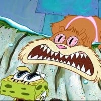 Survival of the Idiots