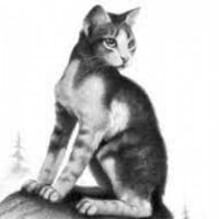 Morningstar (ThunderClan)