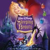 Once Upon a Dream - Sleeping Beauty