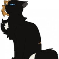 Hollystar (SkyClan)