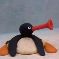Pingu
