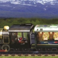 Shy Guy's Perplex Express