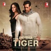 Saiyaara - Ek Tha Tiger