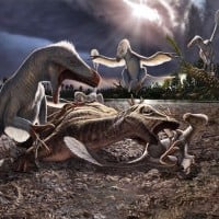 Utahraptor Ostrommaysorum