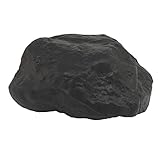 Coal